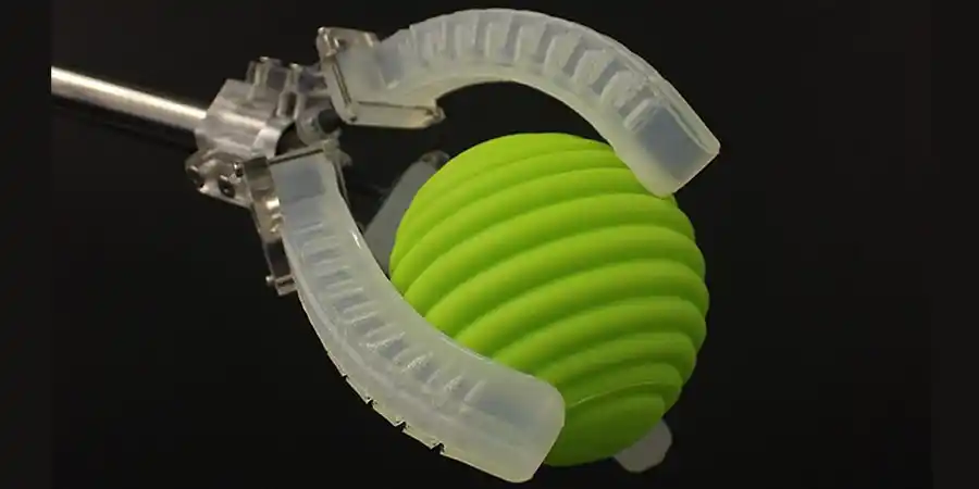 The Future of Robotics: Soft and Flexible